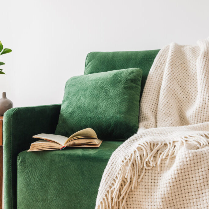 green sofa with pillow, book and blanket near wooden coffee table with plants green sofa with pillow, book and blanket near wooden coffee table with plants
